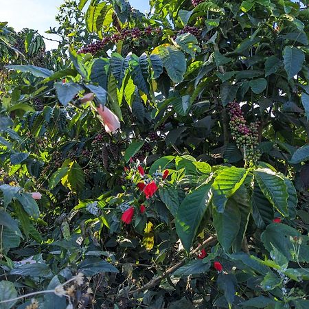 Ivy Coffee Farm - Garden House Apartment Duc Trong Exterior foto