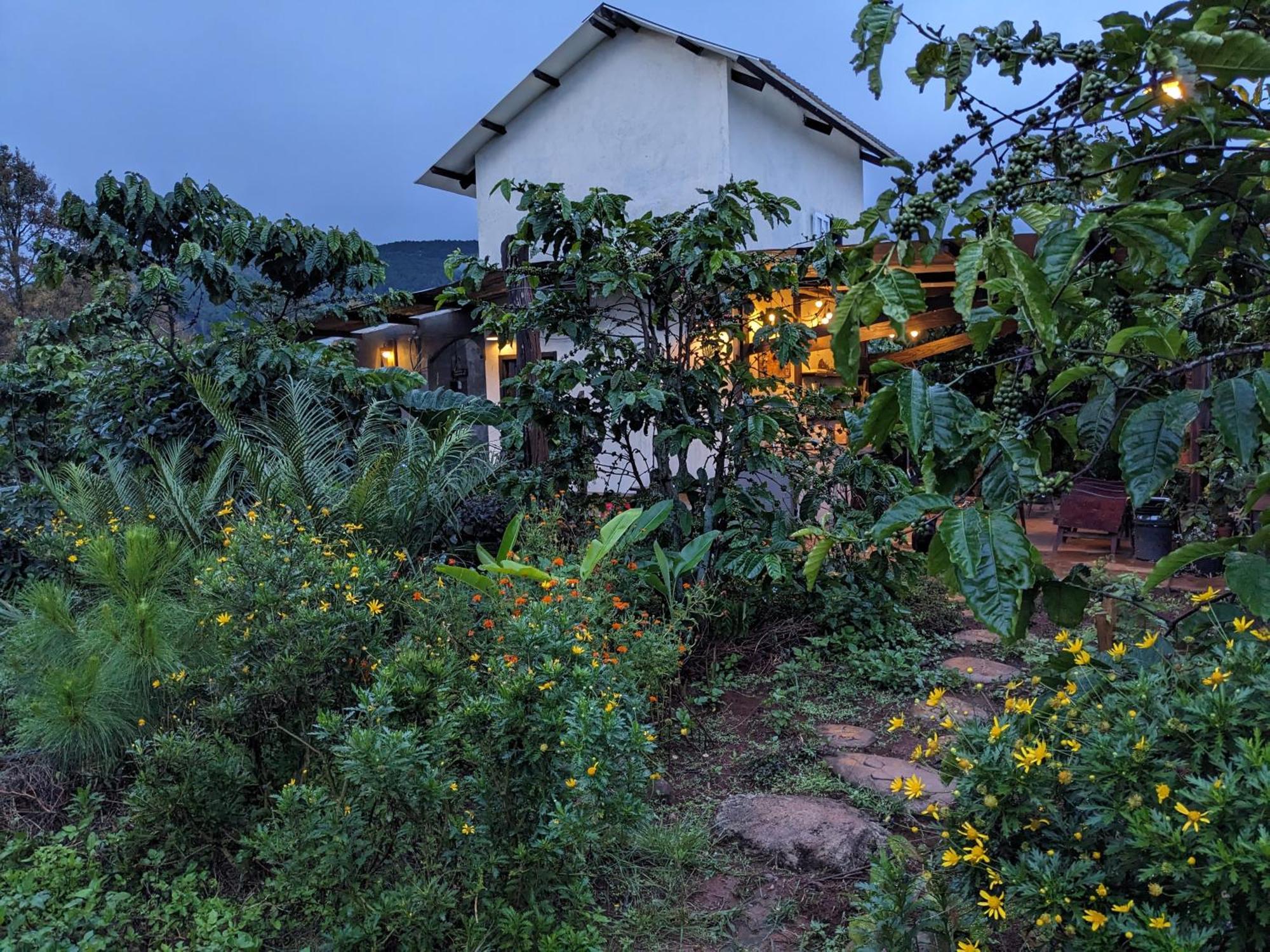 Ivy Coffee Farm - Garden House Apartment Duc Trong Exterior foto