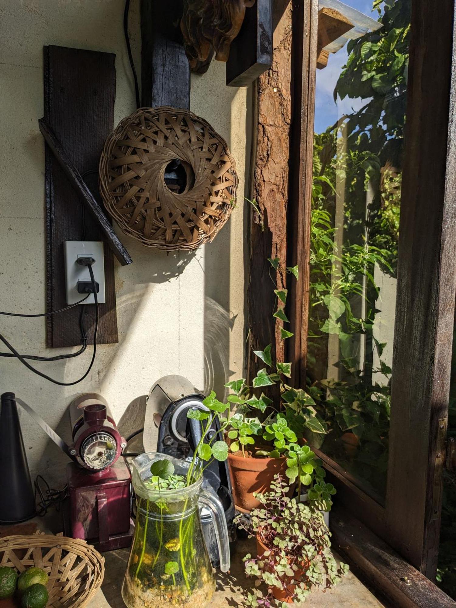 Ivy Coffee Farm - Garden House Apartment Duc Trong Exterior foto