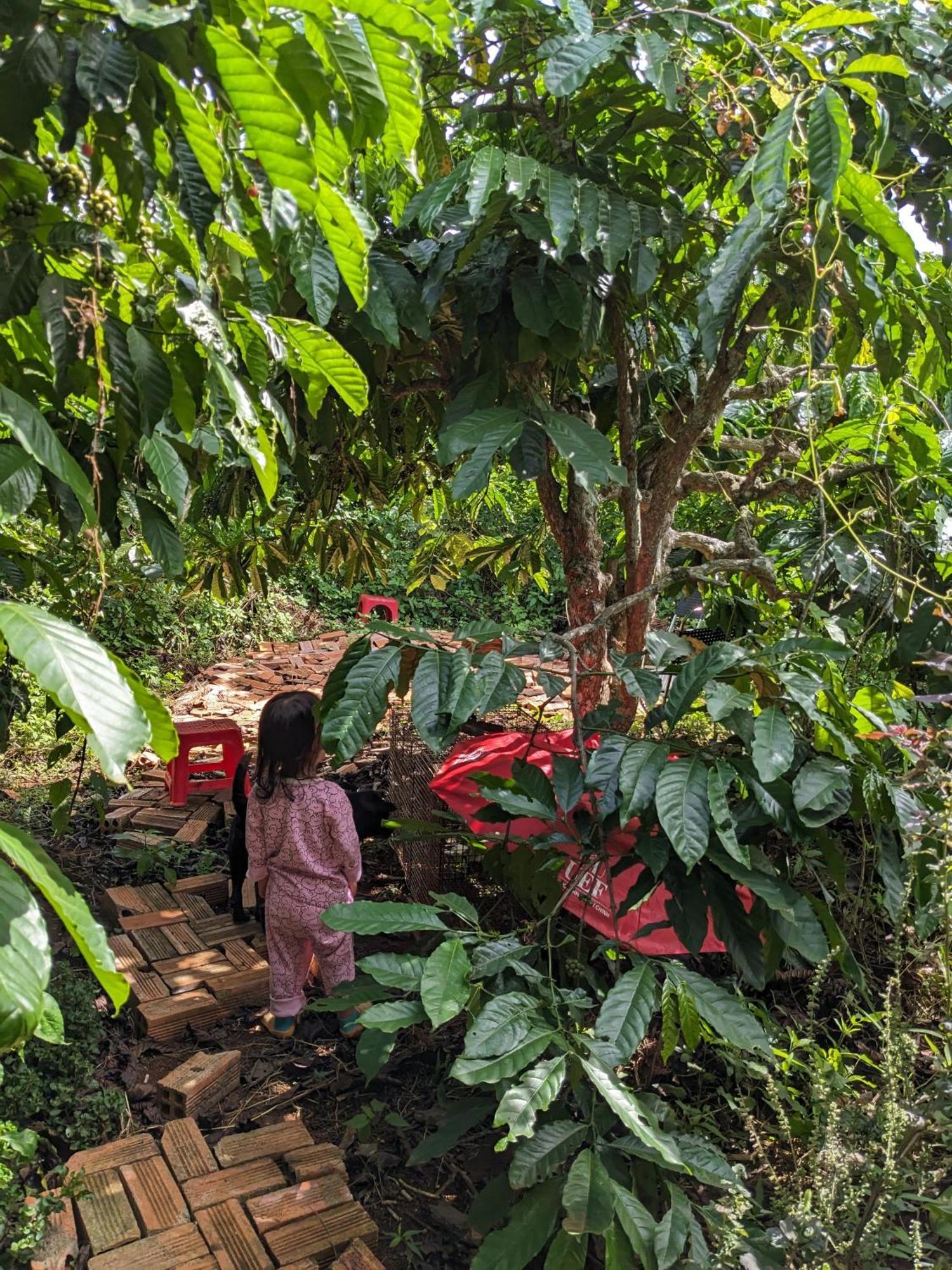 Ivy Coffee Farm - Garden House Apartment Duc Trong Exterior foto