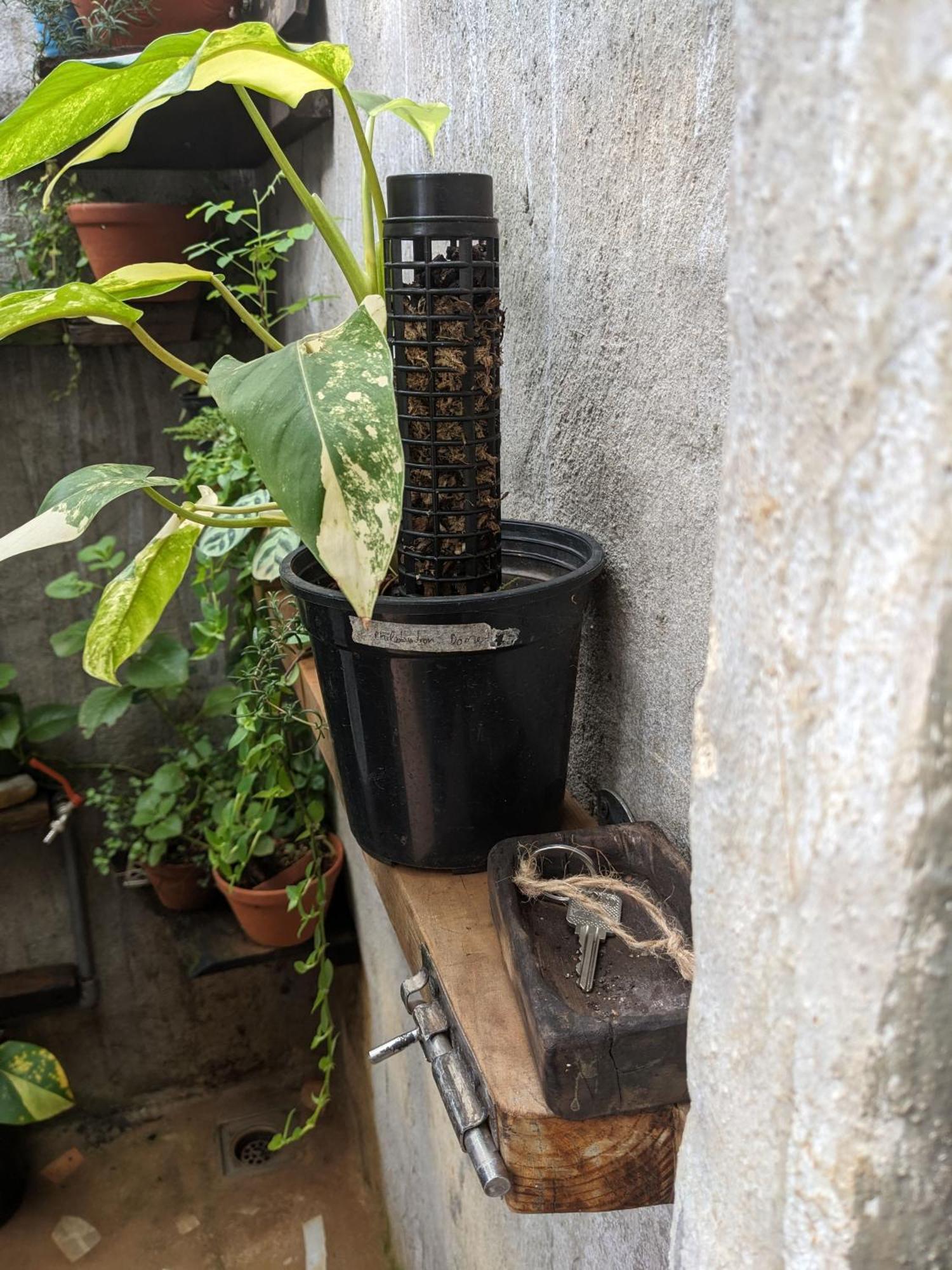 Ivy Coffee Farm - Garden House Apartment Duc Trong Exterior foto