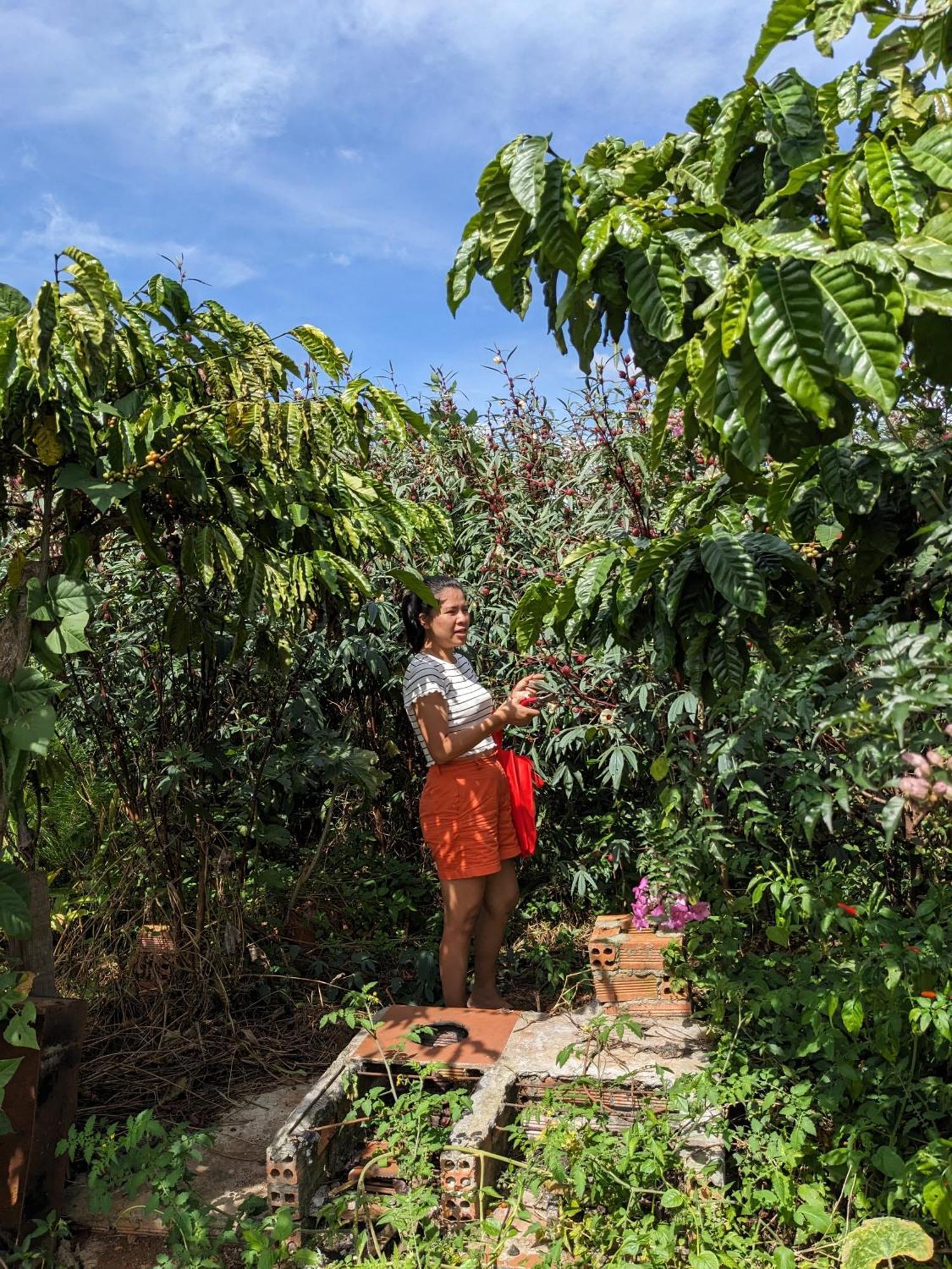 Ivy Coffee Farm - Garden House Apartment Duc Trong Exterior foto