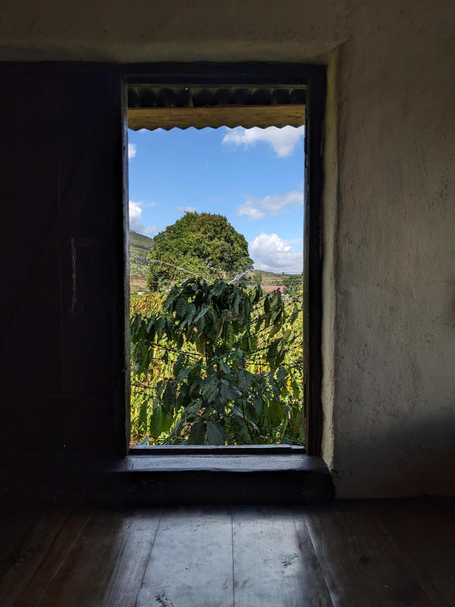 Ivy Coffee Farm - Garden House Apartment Duc Trong Exterior foto