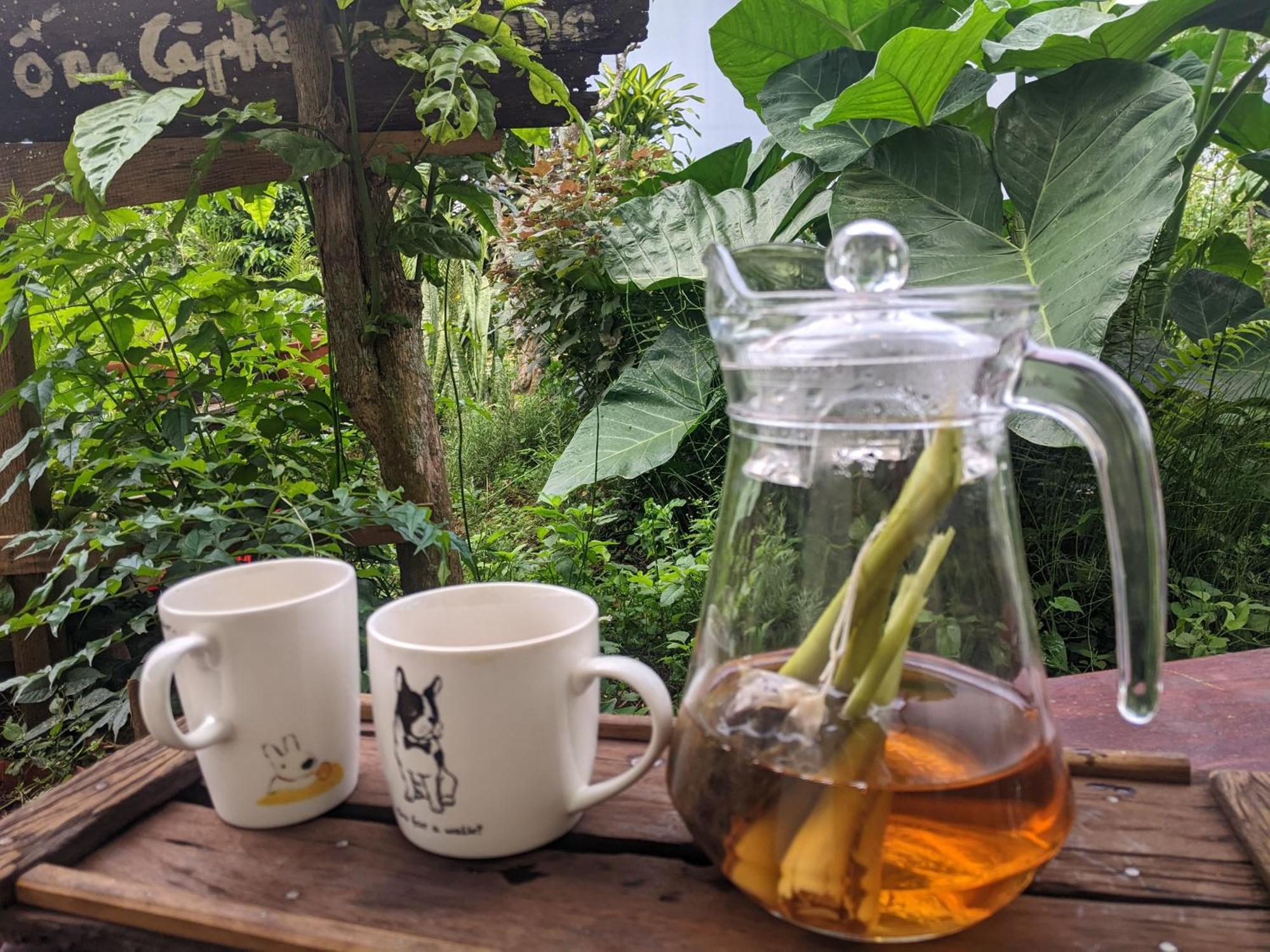 Ivy Coffee Farm - Garden House Apartment Duc Trong Exterior foto